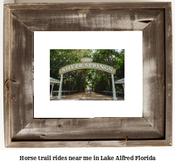 horse trail rides near me in Lake Alfred, Florida